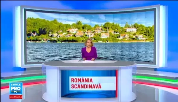 Viata vasluienilor care isi castiga existenta la taiat lemne in zonele izolate din Scandinavia. Ce salariu lunar primesc