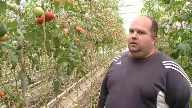 Intr-un sistem medical tot mai bolnav, exista si spitale care ofera pacientilor mancare bio. Economia este de 150.000 RON/an