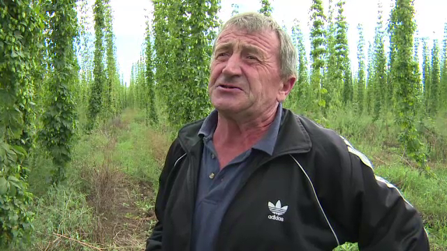 Planta cu care acest agricultor roman scoate un profit anual urias. Cum a dat lovitura cu o investitie din fonduri europene