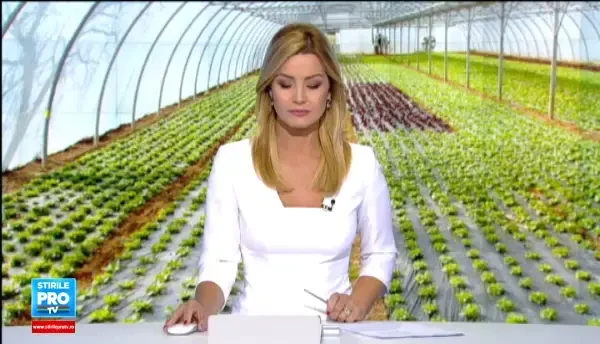 Planta cu care acest agricultor roman scoate un profit anual urias. Cum a dat lovitura cu o investitie din fonduri europene