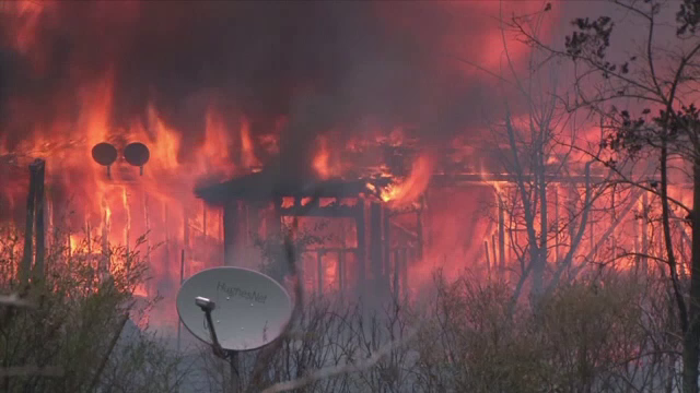 Nordul Californiei, cuprins de incendii violente. Pompierii sunt depasiti de amploarea dezastrului