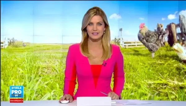 Carnea de pui neagra, noua delicatese de la noi. De ce sunt romanii reticenti cand o vad in farfurie