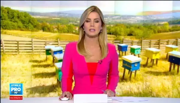 De ce vom avea mai putina miere in acest an. Autoritatile ar fi folosit un pesticid interzis in toatele statele UE