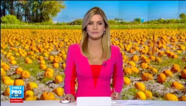 Cei care au pariat pe recoltele cu dovleac au parte de un profit record. Productia a depasit orice asteptare a cultivatorilor