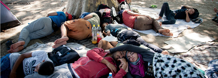refugiati dormin pe jos