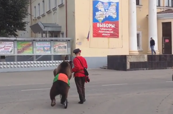 Un barbat a venit cu ursul la sectia de votare, in cadrul alegerilor locale din Rusia. Reactia membrilor comisiei. VIDEO