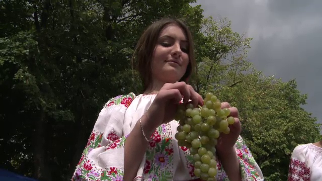 Seceta a dublat productia de struguri din Romania in acest an, iar viticultorii anunta ca vinul va fi unul de calitate