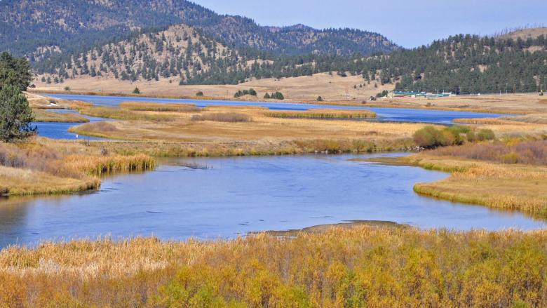 O femeie din SUA a avut parte de cea mai frumoasa supriza din viata sa. Ce a descoperit dupa 40 de ani pe fundul unui lac