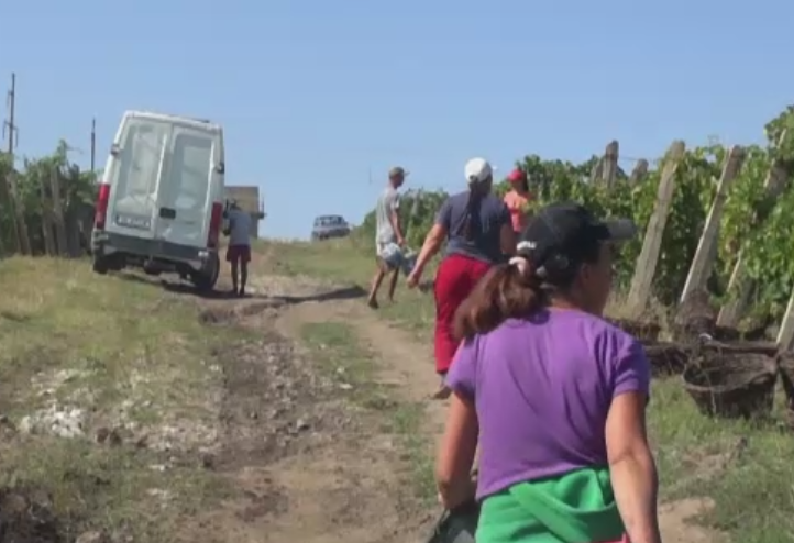 Comuna unde sute de someri prefera sa stea degeaba in loc sa lucreze ca sezonieri. Unii nu vor sa piarda ajutorul social