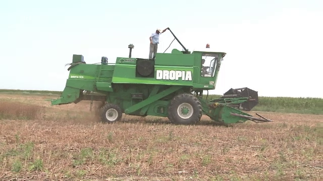 2015, cel mai calduros an de cand se fac masuratori meteorologice in lume. Recomandarile specialistilor pentru agricultori