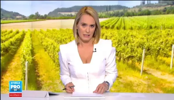 Comuna din Galati unde sute de someri prefera sa stea degeaba decat sa lucreze ca sezonieri. Motivul pentru care refuza