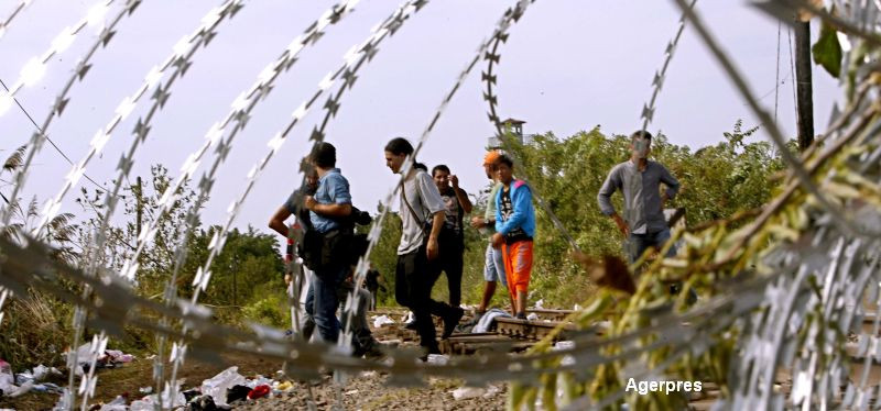 imigranti