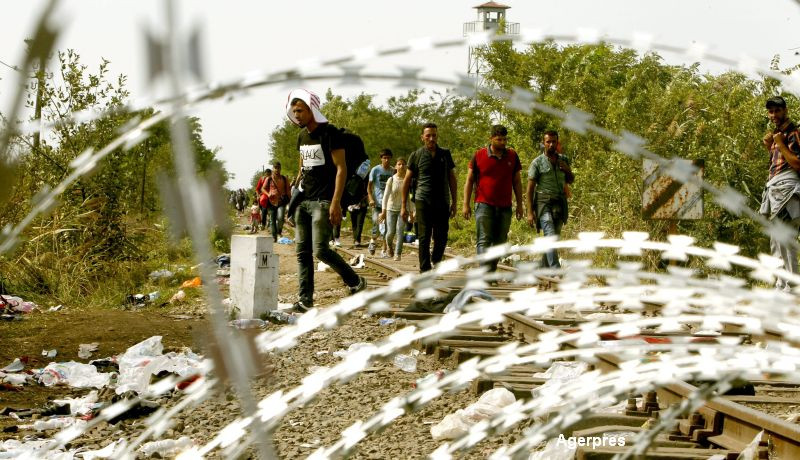 imigranti