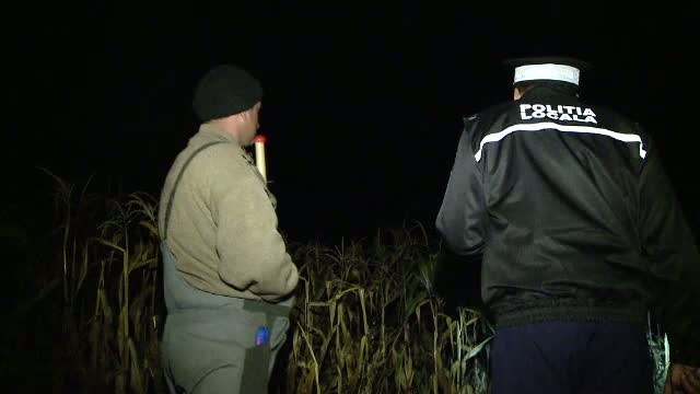 Politisti folositi drept sperietori de... hoti, in Neamt. Localnicii le-au cerut sa pazeasca lanurile de porumb