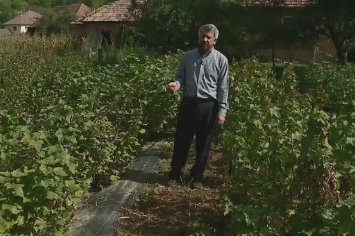 Familia care demonstreaza ca afacerile pot avea succes si in Romania. Cum au reusit doi clujeni sa faca bani din fructe