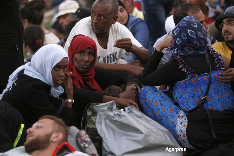 imigranti