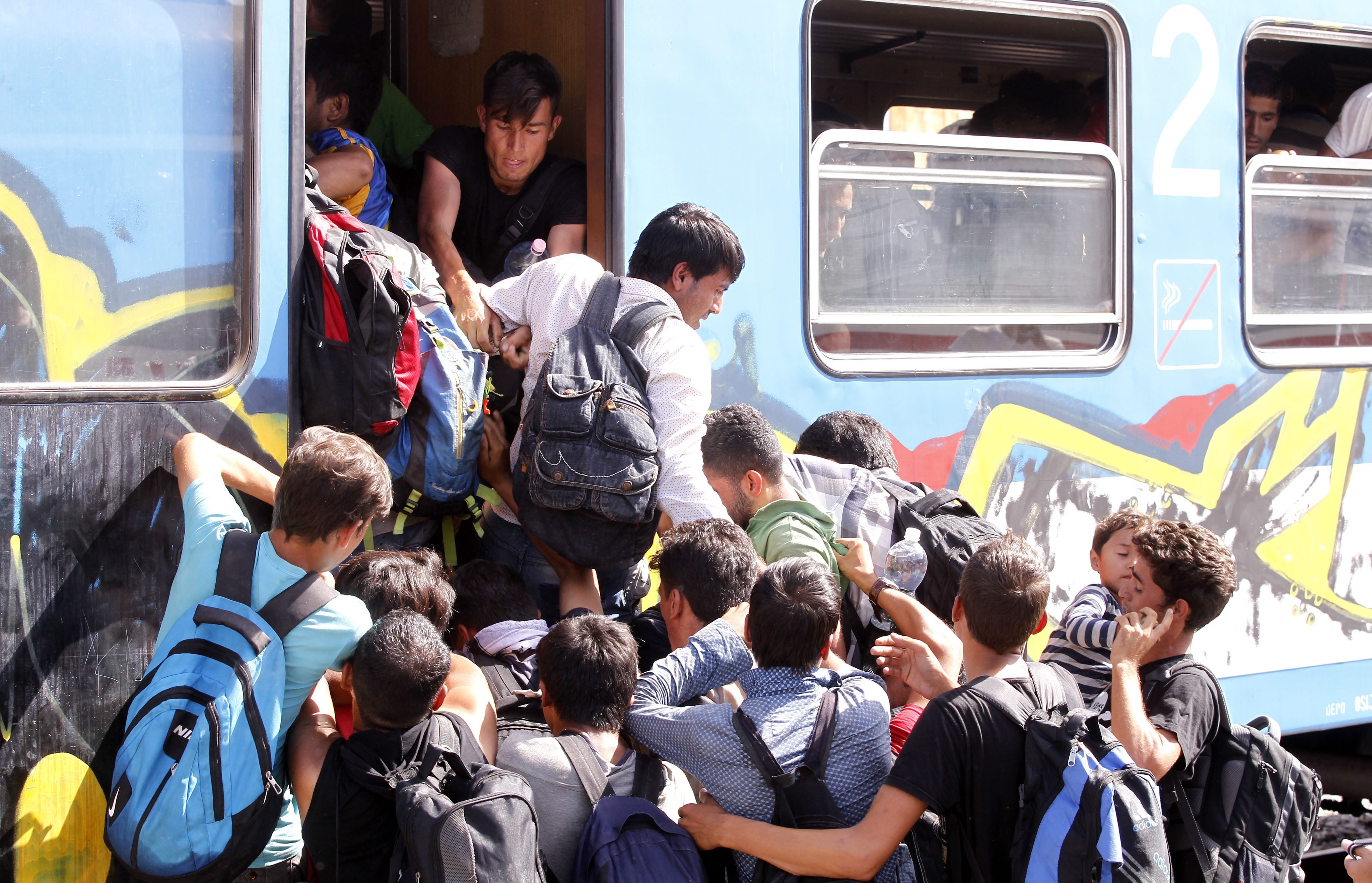 imigranti