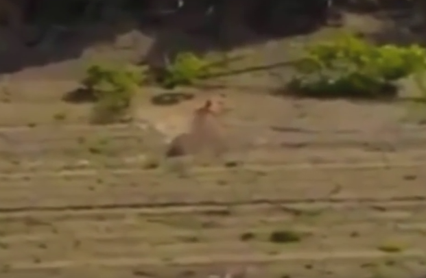 Surpriza "exploziva" de care au avut parte doi tineri care faceau sex in public, in fata mai multor oameni. VIDEO