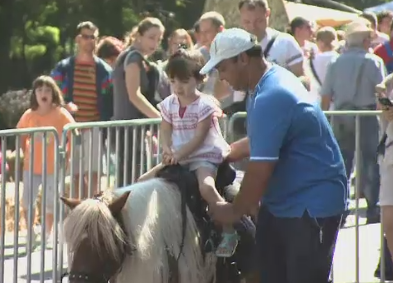 Aglomeratie la a doua editie Rural Fest, in Capitala. Bucurestenii, primiti cu vitel la protap, carnati, must si sarmale