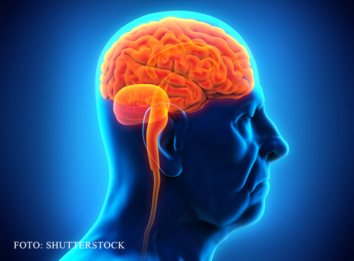 Primele simptome ale Alzheimerului. Cand trebuie sa mergeti la medic pentru investigatii