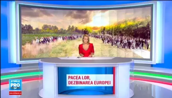 Grupul de la Visegrad respinge cotele obligatorii. Armata maghiara a primit dreptul de a folosi arme care nu sunt letale