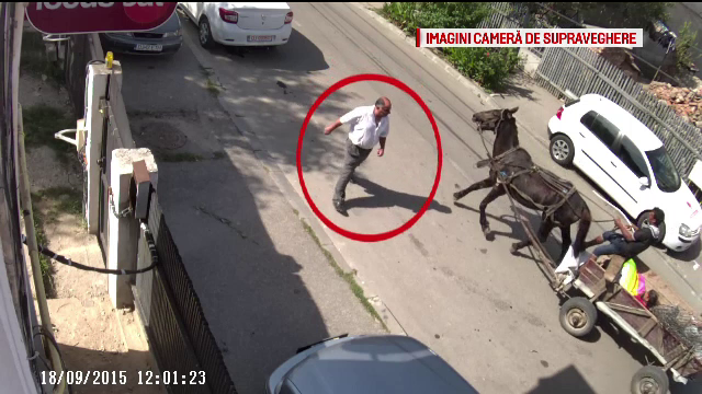 Un cal intra cu viteza intr-o masina parcata. Accidentul ciudat, surprins de camerele de supraveghere din Craiova