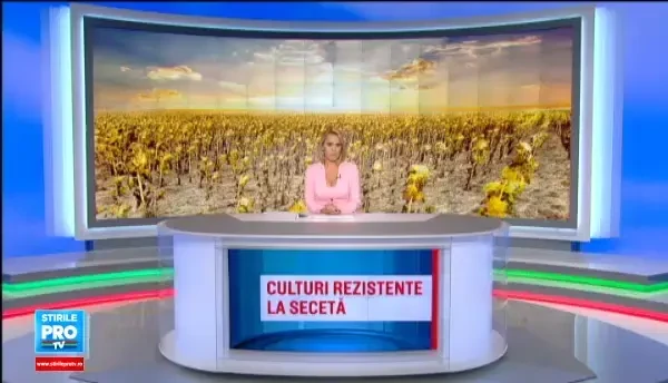 Soiul creat special pentru a rezista in conditii extreme. Solutia