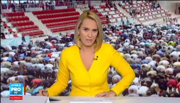 Sarbatoare pentru musulmanii din Romania: a inceput Kurban Bayramul. Ce legatura are cu Biblia