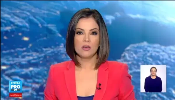 Vesti ingrijoratoare de la Constanta. Delfinul Ni Ni, analizat de medici dupa ce s-a imbolnavit si nu a mai mancat 3 zile