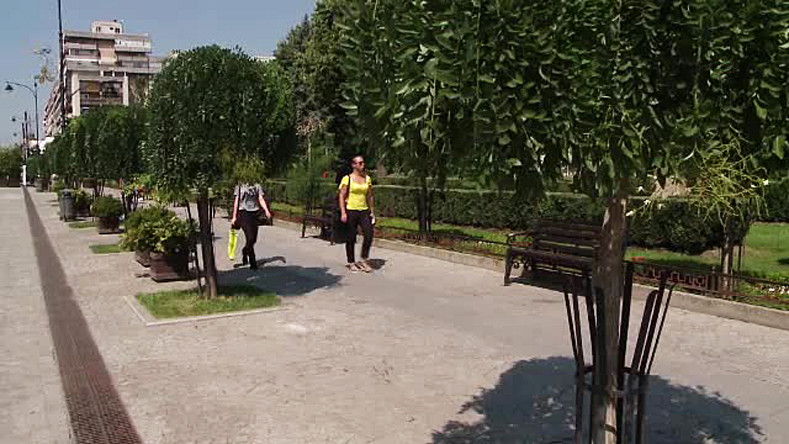 Teii lui Eminescu, replantati la Iasi in urma unui referendum. Ce se va intampla cu salcamii care le luasera locul