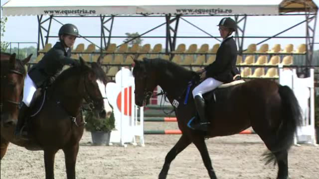 Pasiunea copiilor pentru calarie ii poate costa pe parinti zeci de mii de euro. Cum creste valoarea cailor in timp