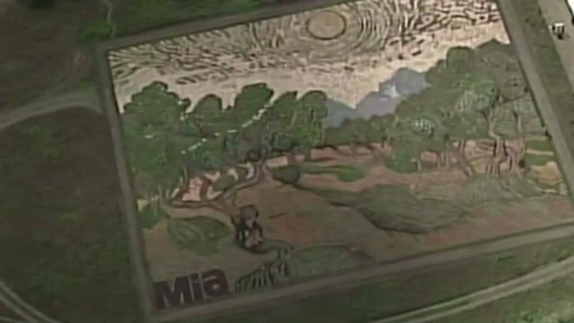 Lan de cereale, transformat intr-o opera de arta. Un artist a recreat un tablou al lui Van Gogh din pietre si plante