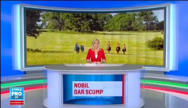 Pasiunea copiilor pentru calarie ii poate costa pe parinti zeci de mii de euro. Cum creste valoarea cailor in timp