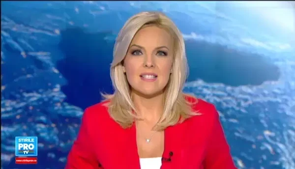 Lan de cereale, transformat intr-o opera de arta. Un artist a recreat un tablou al lui Van Gogh din pietre si plante