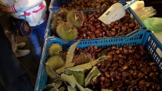 Festivalul castanelor importate din strainatate. Cum a distrus "cancerul castanelor" productia comerciantilor din Romania