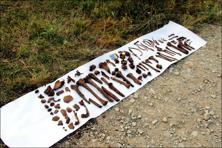 Misterul avionului cu bani prabusit in Siberia. O misiune secreta pentru Stalin s-a incheiat tragic