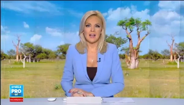 Copacul lui Dumnezeu, adus din Himalaya la Buzau. Ce proprietati miraculoase are planta