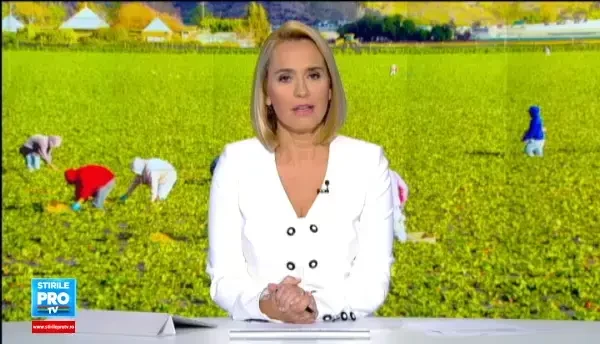 Fermierii scot bani din zmeura si capsuni de toamna, aduse din afara. La cat se ridica investitia cu profit din primul an