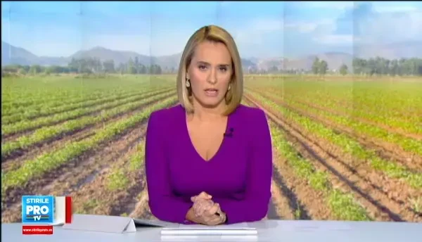 Recolta bogata a scazut pretul legumelor, dar agricultorii sunt nevoiti sa arunce tone intregi. N-avem cui sa le vindem