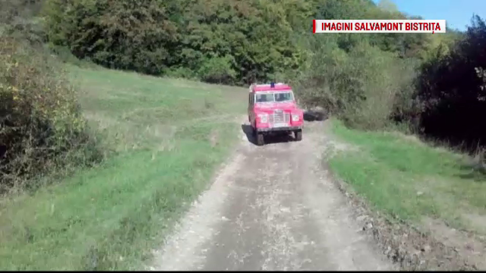 Taia lemne in padure, cand s-a prabusit un copac peste el. Ce s-a intamplat apoi cu un tanar din Bistrita-Nasaud