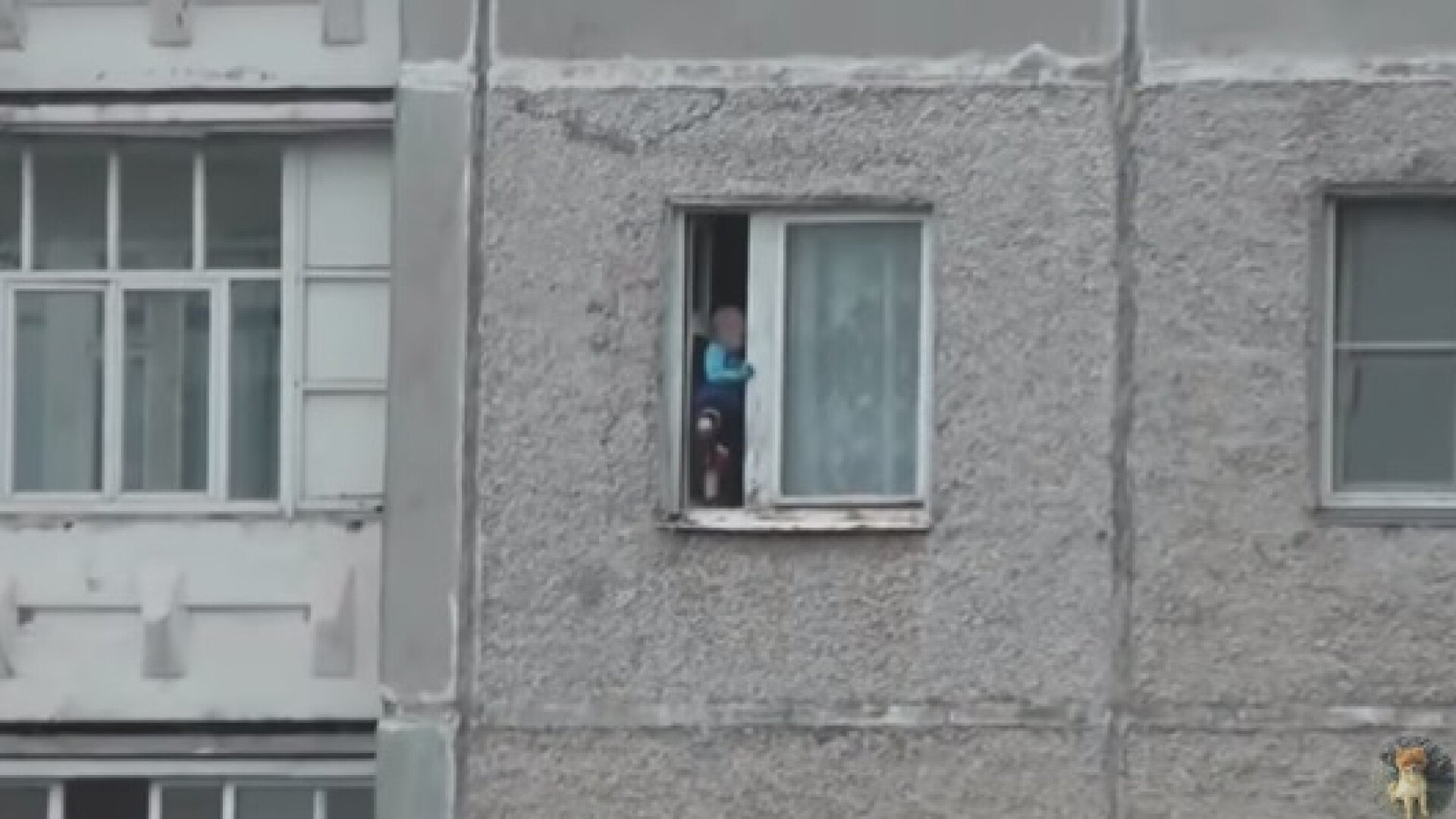 Clipul face inconjurul internetului. Ce a surprins un pieton la geamul unui apartament de la etajul 8 al blocului. VIDEO