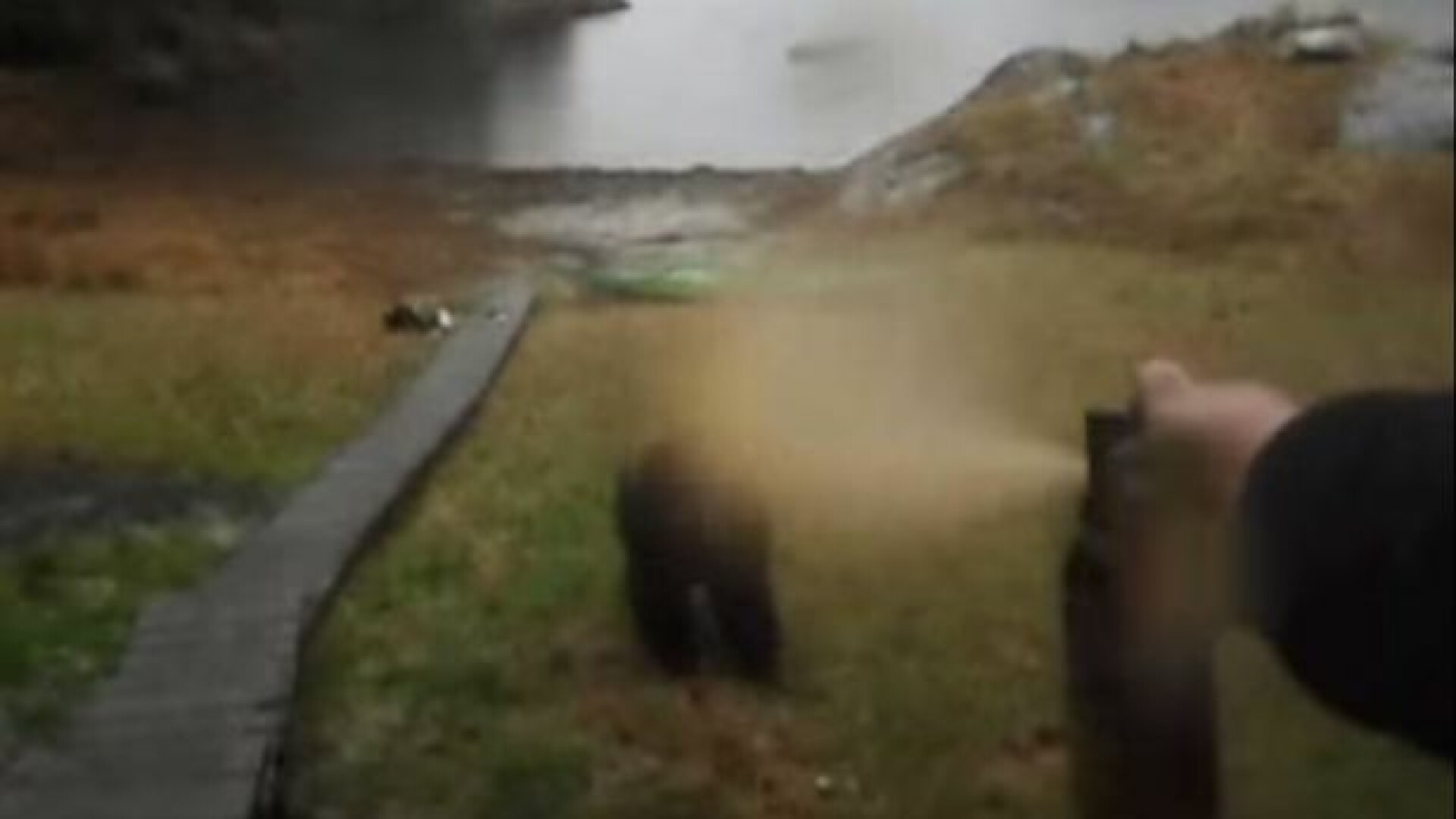 Ce se intampla cand ii dai unui urs in fata cu spray paralizant. Experienta infricosatoare a unei femei, in pustietate. VIDEO