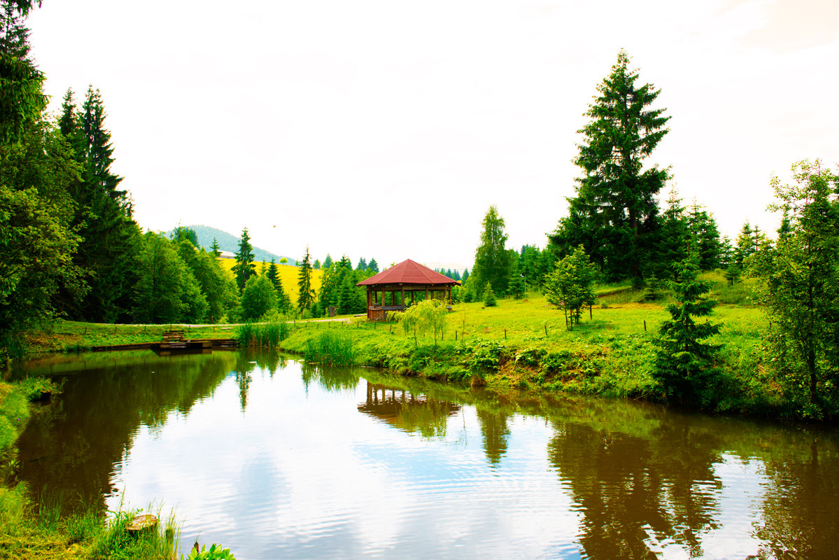 (P) Compania care a adoptat un rau din Romania. Ce s-a intamplat dupa 7 ani