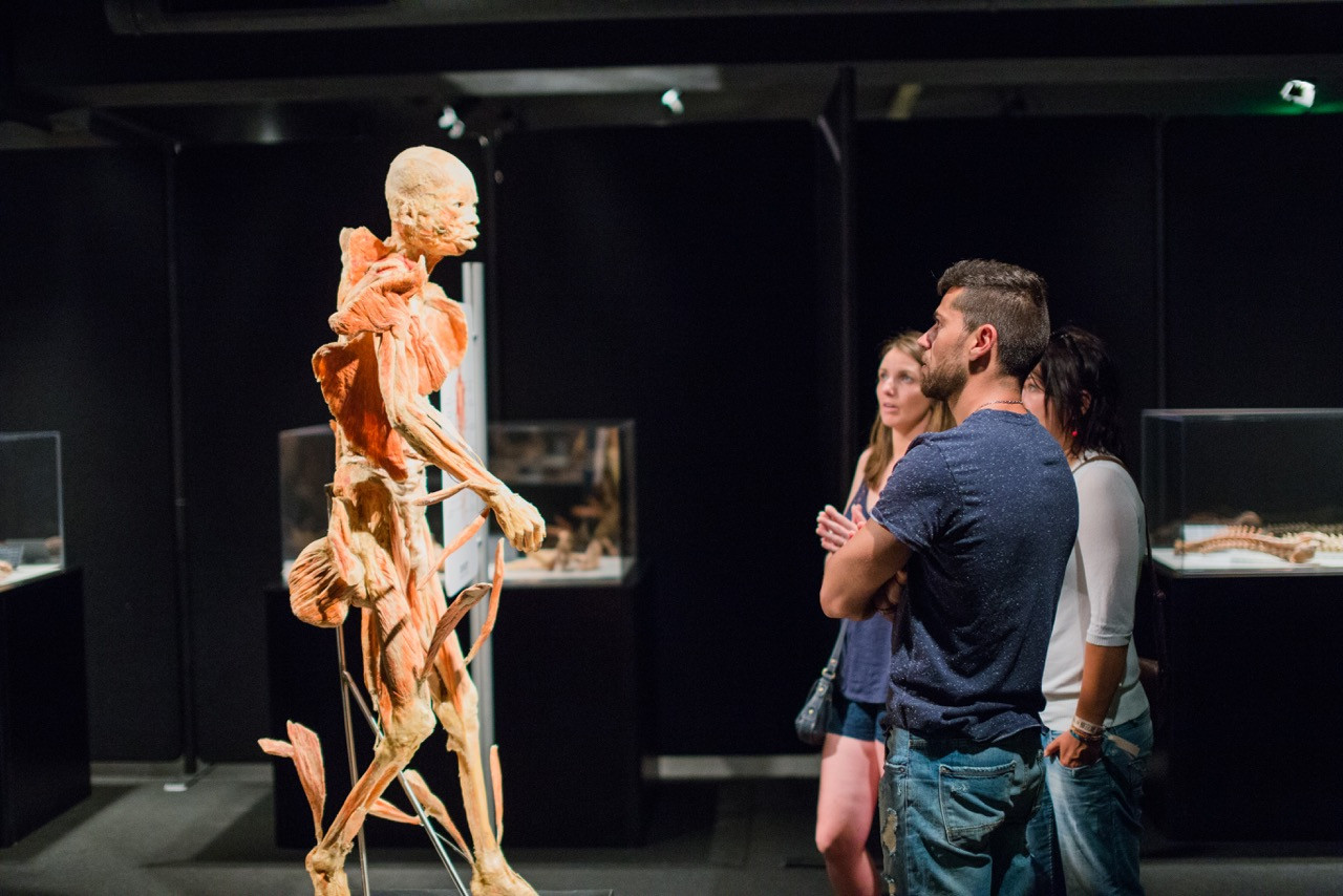 „OUR BODY: Universul Interior”: ultima luna la Cluj