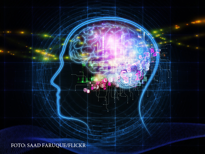 Fierul, principalul responsabil de inteligenta copiilor nostri. Ce ar trebui sa manance de la prima masa a zilei