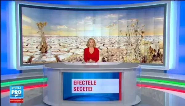 Recolta de fructe de padure, compromisa din cauza secetei. Cu cat vor creste preturile dupa un an in care totul a mers prost