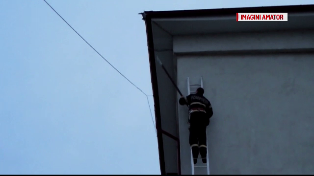 Imagini emotionante in Tecuci. Pompierii au salvat un porumbel prins de doua zile in acoperisul unei scoli