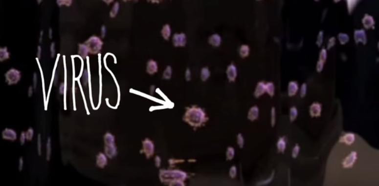 Cum lupta sistemul imunitar cu virusul gripal. VIDEO