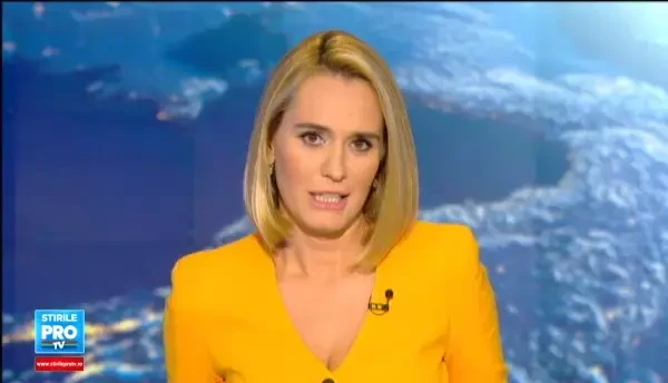 Doi ursi pusi pe fuga de un buldog francez. Cum a reusit catelul sa fugareasca animalele de cinci ori mai mari, din curte