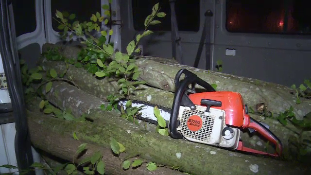 Urmarire cu focuri de arma in Dambovita. Un hot de lemne a fost prins dupa sapte focuri de avertisment